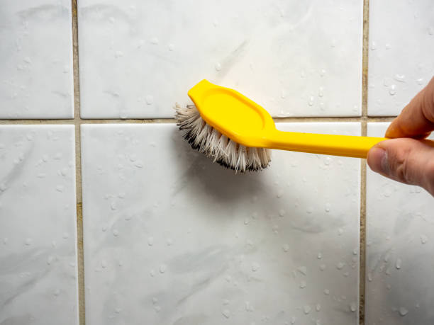 Best Mold Testing and Removal  in Ofallon, IL