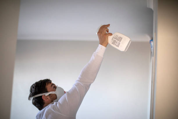 Best Toxic Mold Removal  in Ofallon, IL